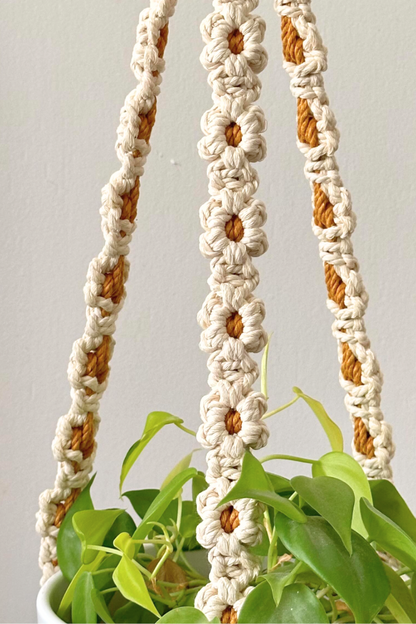 Kit DIY Jardinière marguerite macramé